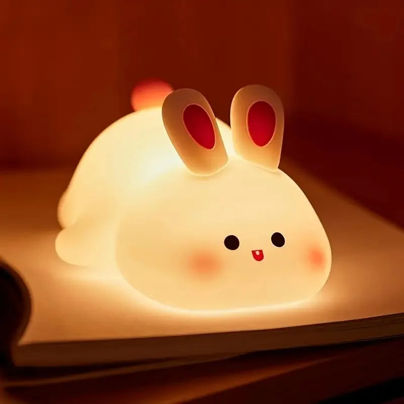 Touch Mini Lamp