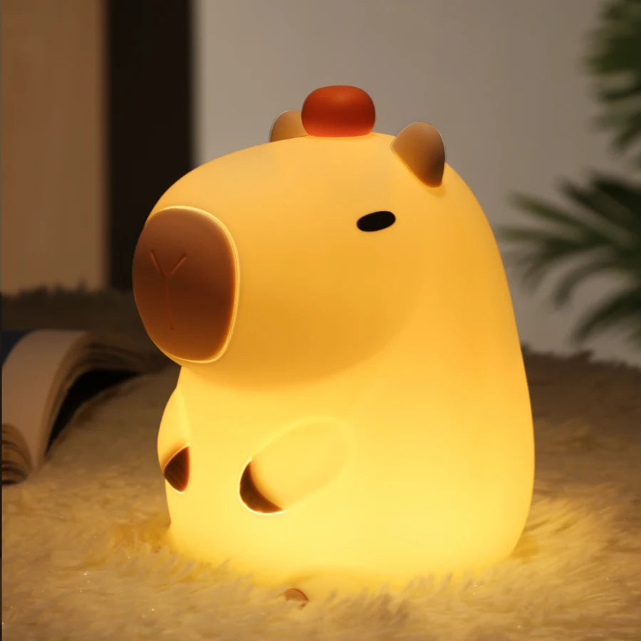 Touch Mini Lamp
