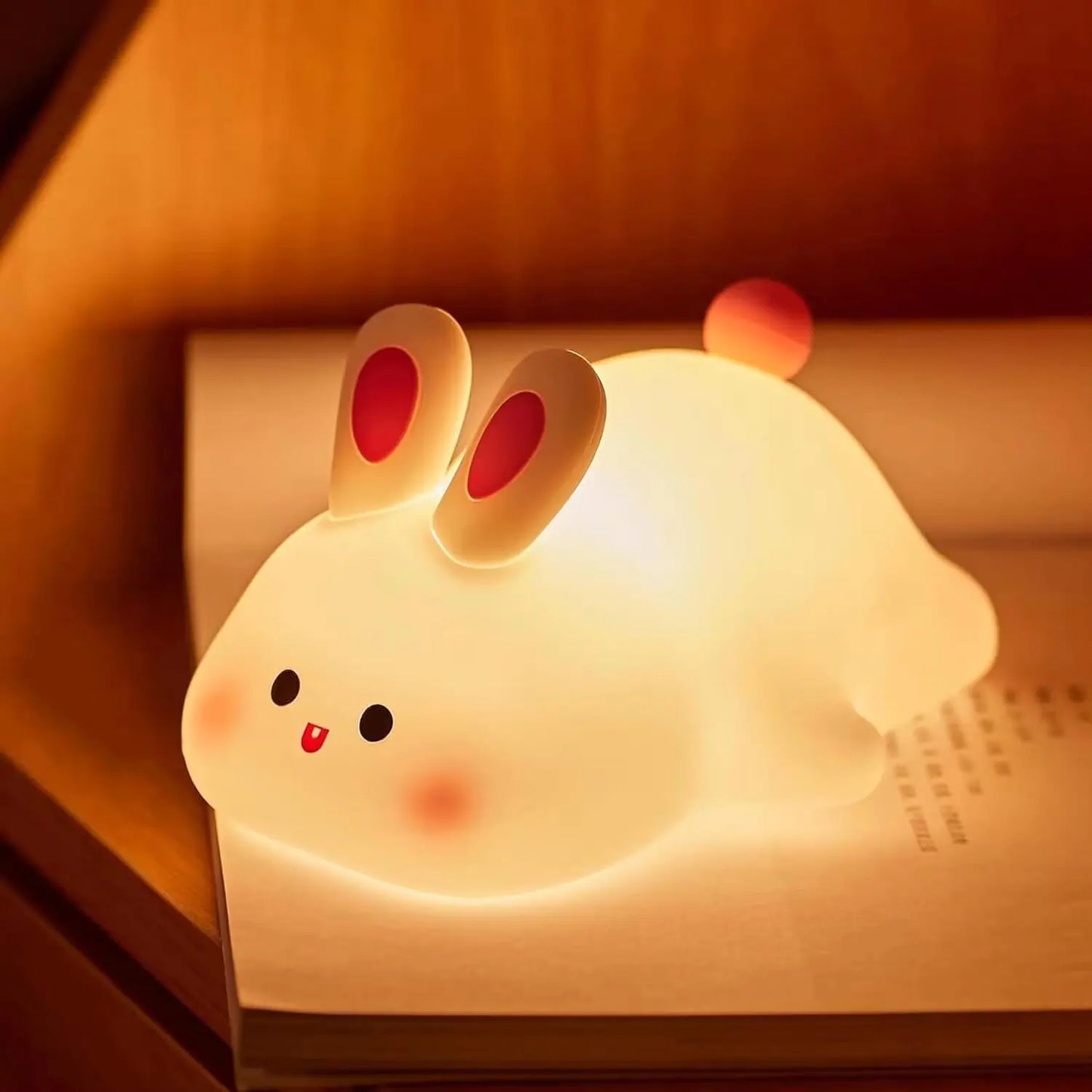 Touch Mini Lamp